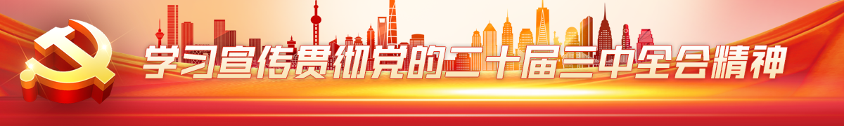 学习宣传贯彻党的二十届三中全会精神